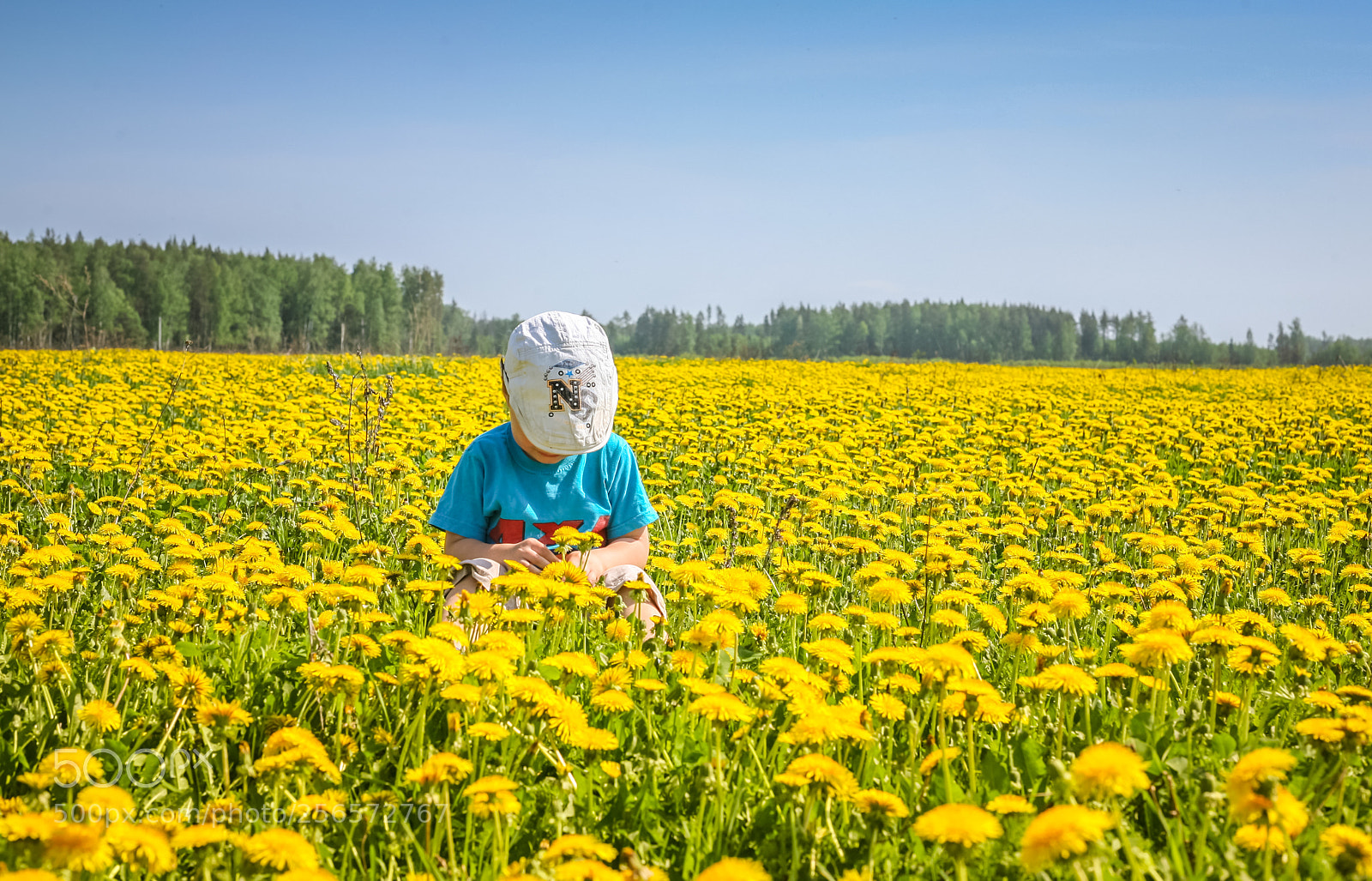 Canon EOS 5D sample photo. Spring baby in dandelions photography