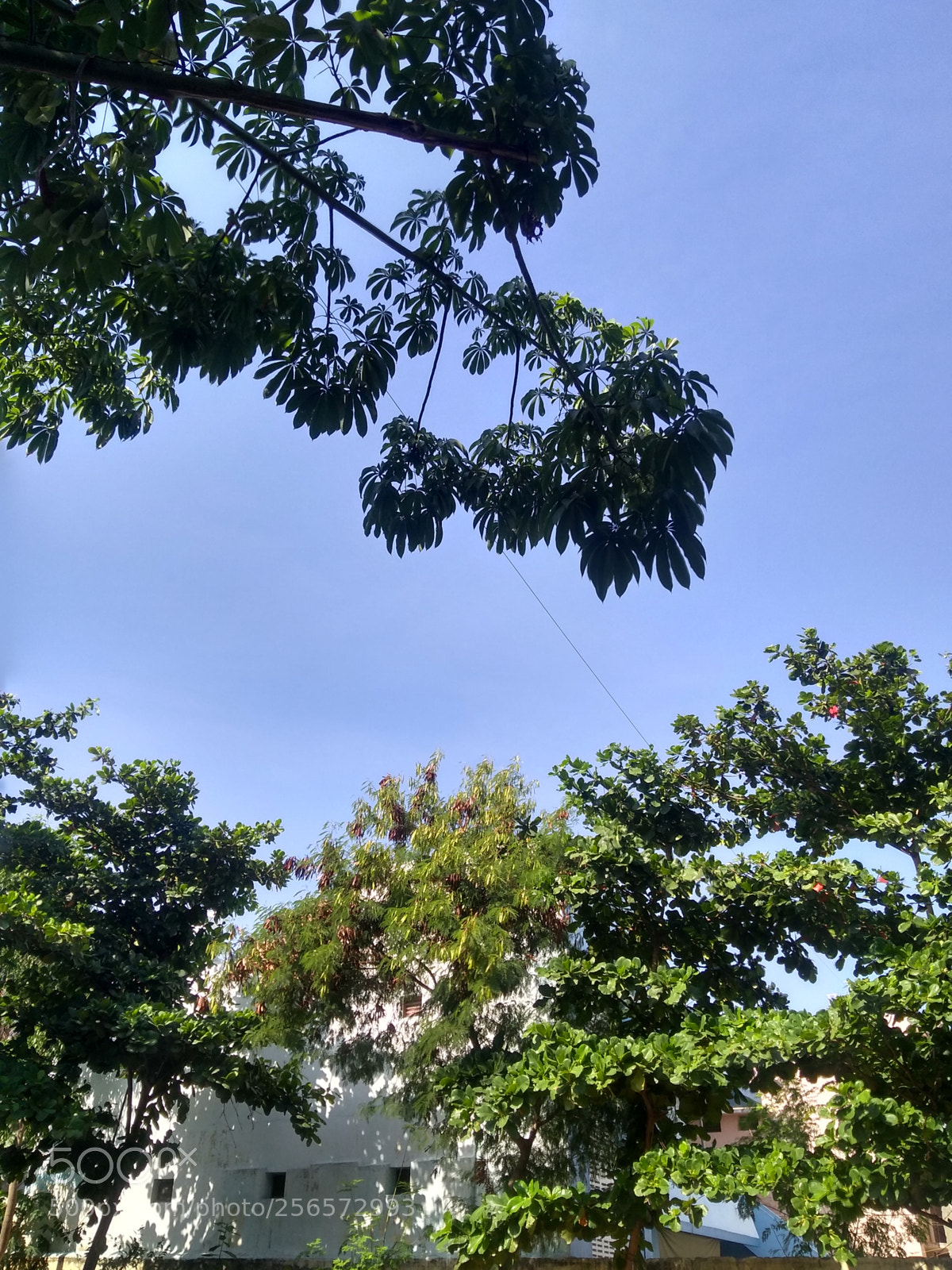 Motorola Moto G (5S) Plus sample photo. Untitled photography