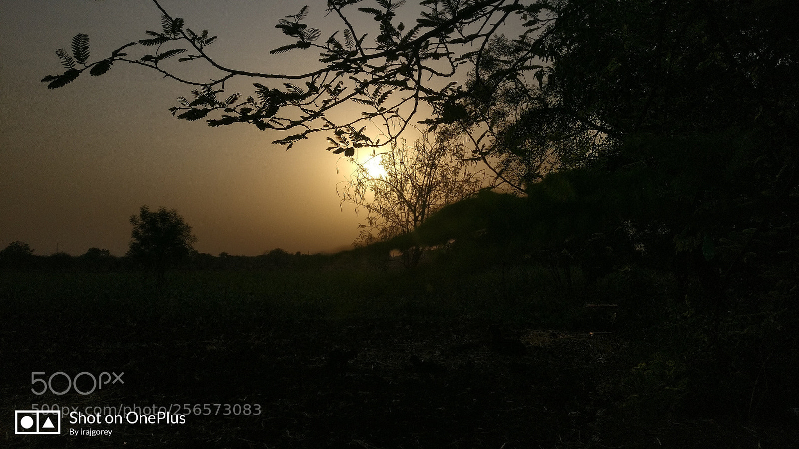 OnePlus A3003 sample photo. Sunrises photography