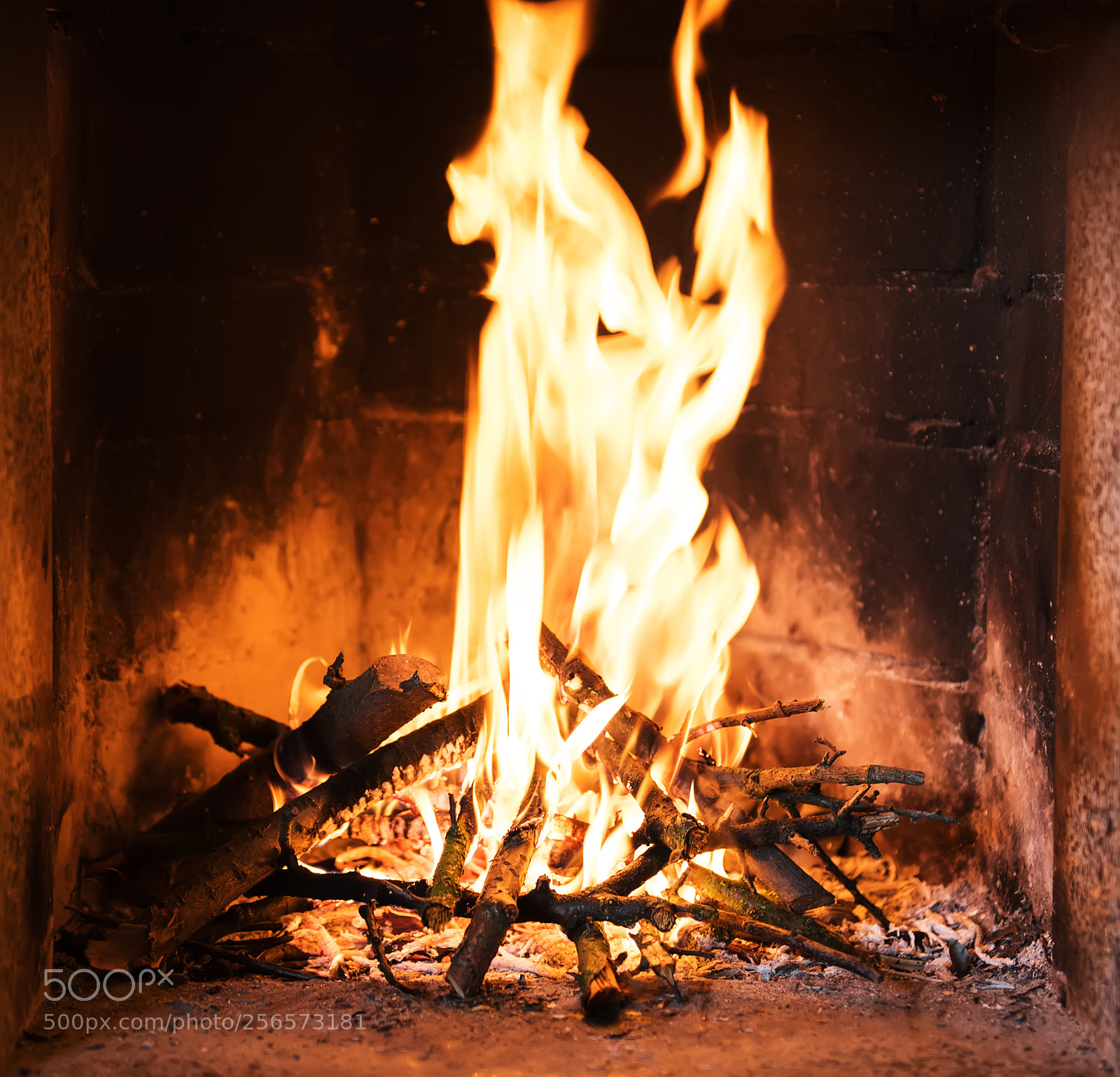 Nikon D750 sample photo. A fire burns in photography