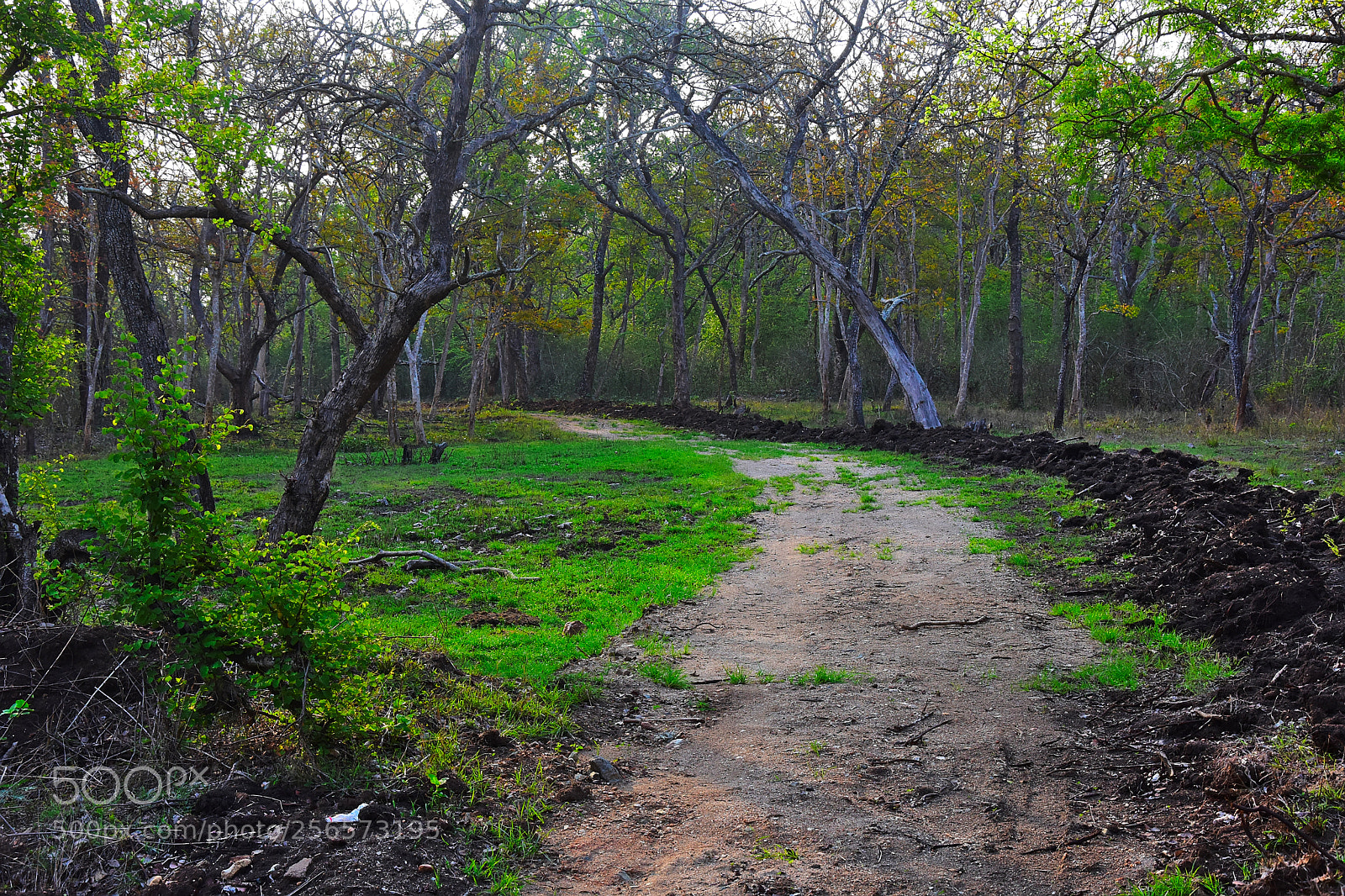 Nikon D7200 sample photo. Photo photography