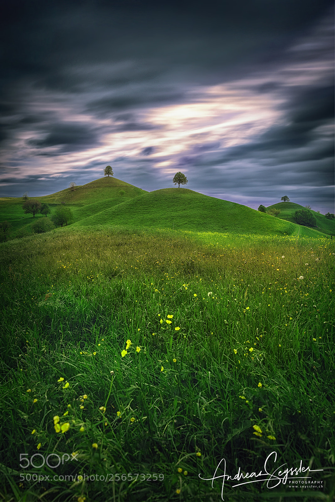 Canon EOS 5DS R sample photo. The hills photography