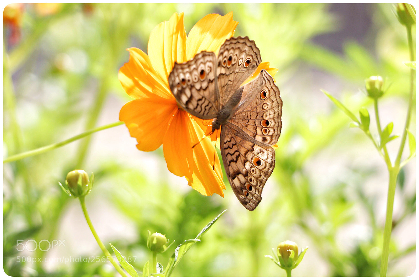 Canon EOS 77D (EOS 9000D / EOS 770D) sample photo. Untitled photography