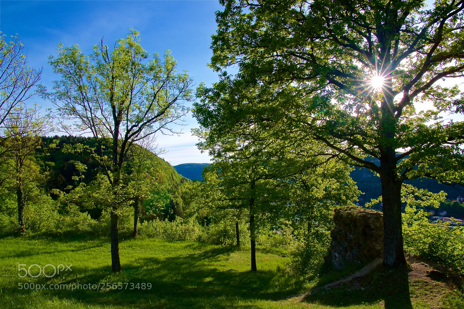 Pentax K-3 II sample photo. Enjoy the sun photography