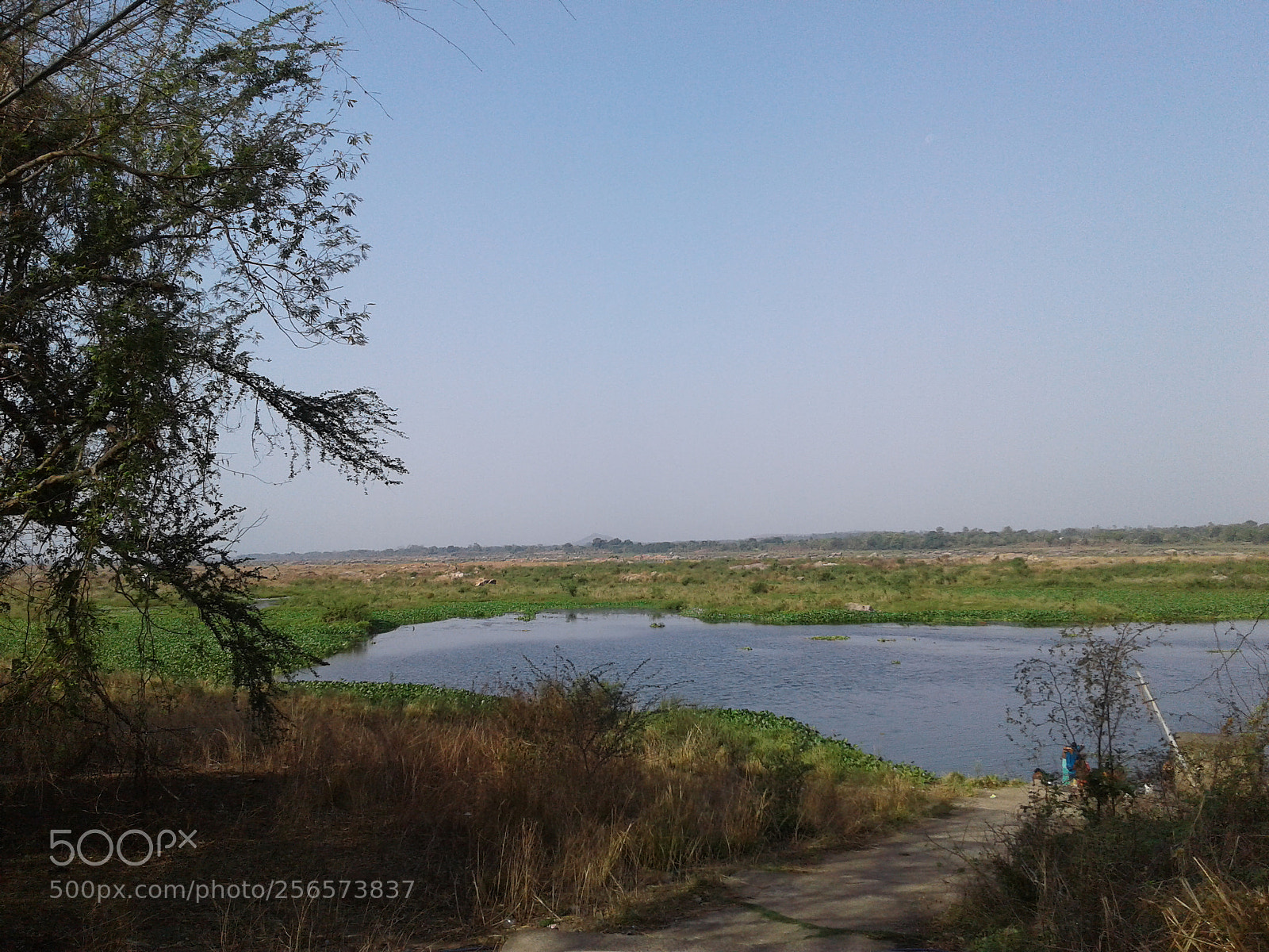 Samsung Galaxy J2 sample photo. Beautiful images of river photography
