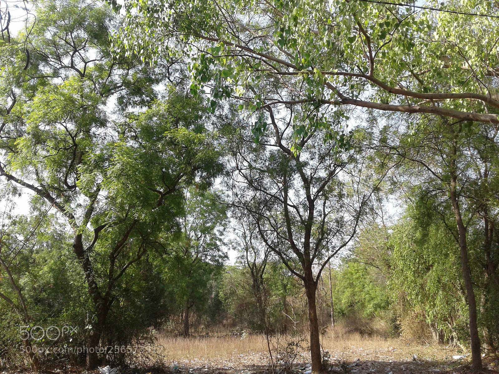 Samsung Galaxy J2 sample photo. Beautiful images of river photography