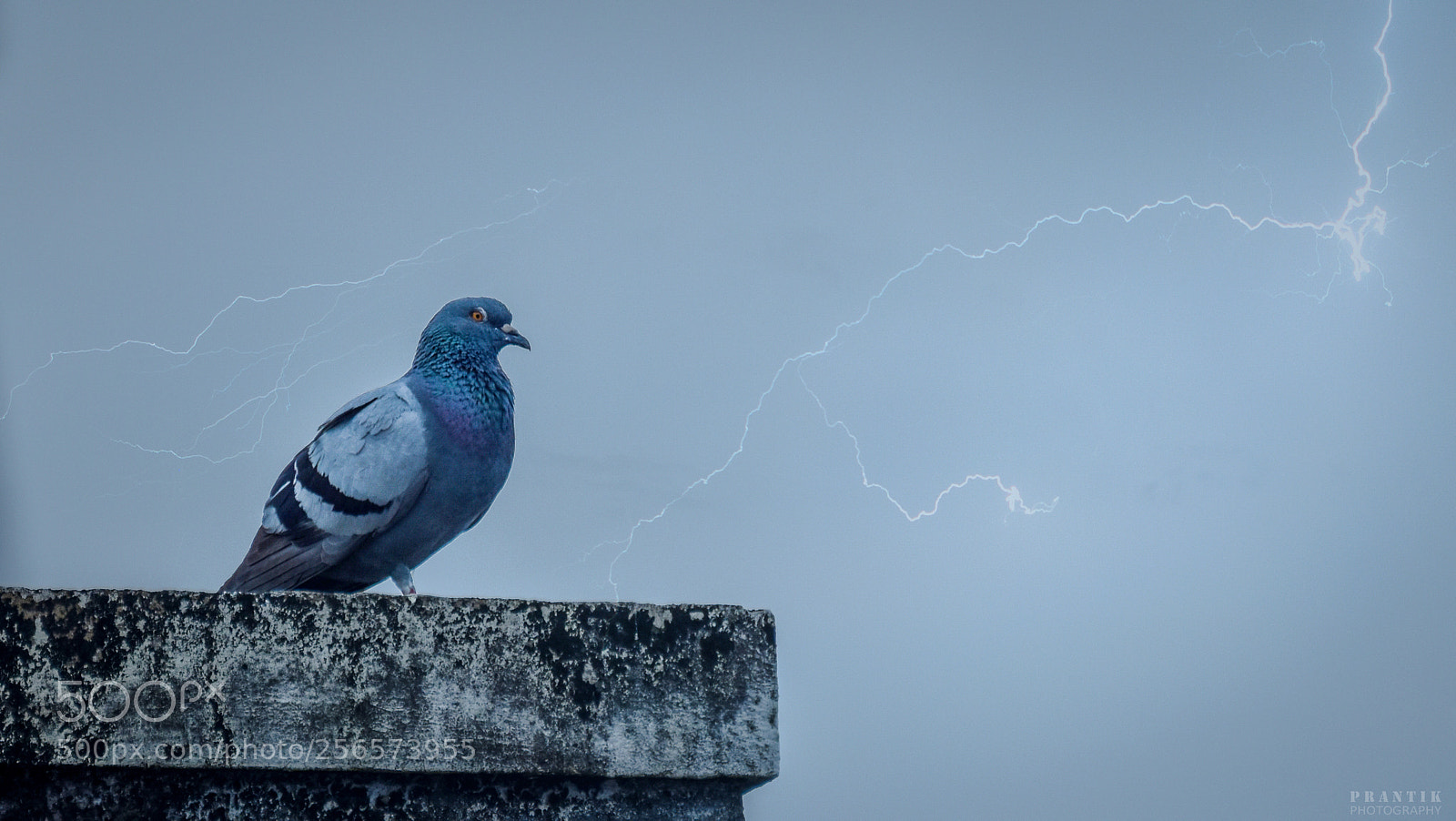 Nikon D5500 sample photo. Doom's day! photography