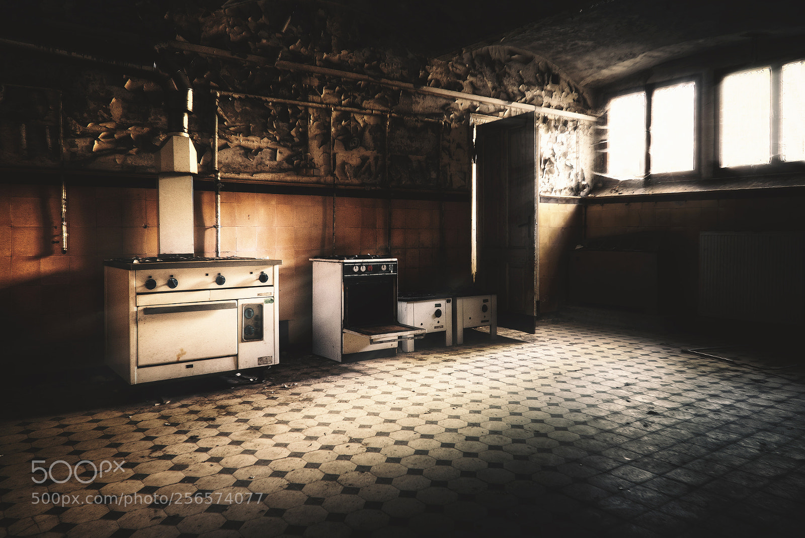 Sony SLT-A58 sample photo. Who cook for us? photography