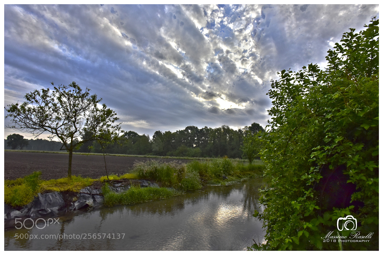 Nikon D750 sample photo. One spring morning photography