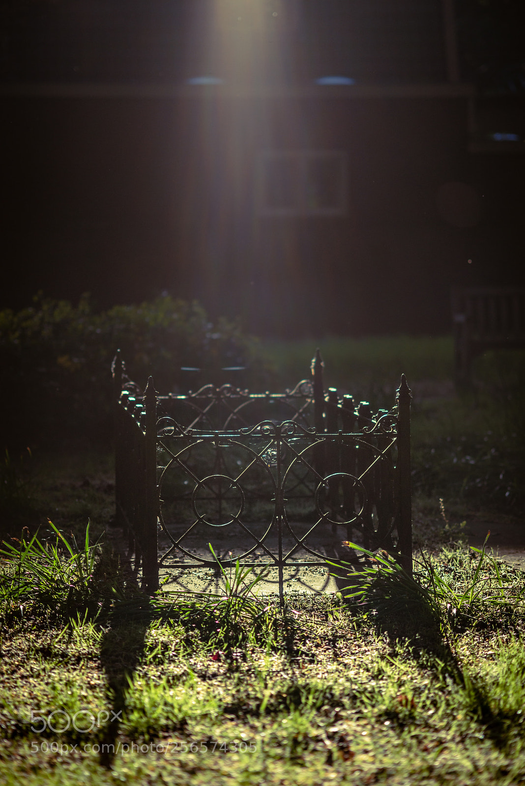 Nikon D610 sample photo. Old grave photography