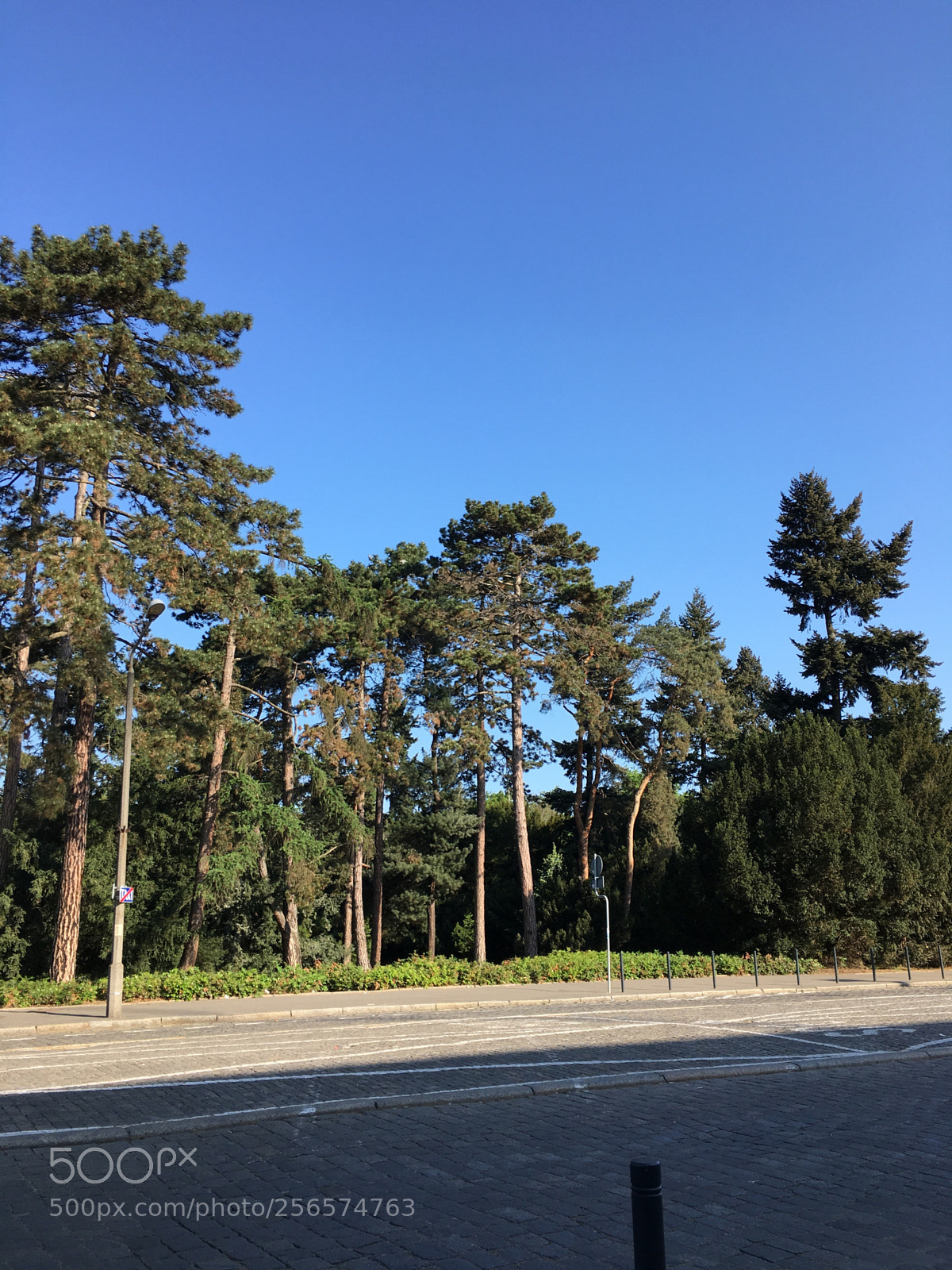 Apple iPhone 6s sample photo. Natura i miasto photography