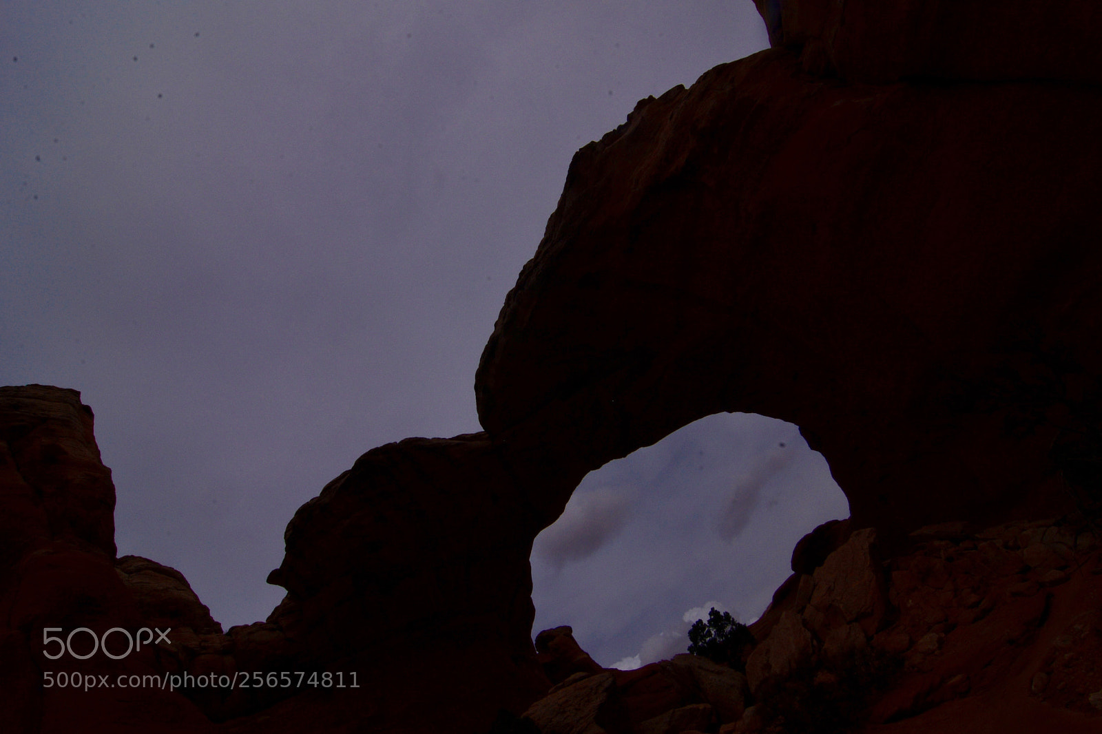 Nikon D610 sample photo. Tilted arch photography