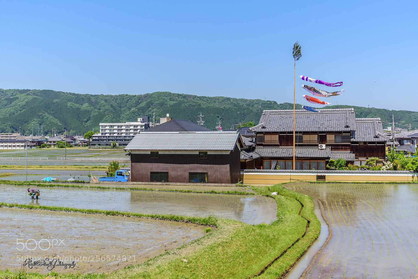Nikon D810 sample photo. Children's day, cheerful carp photography