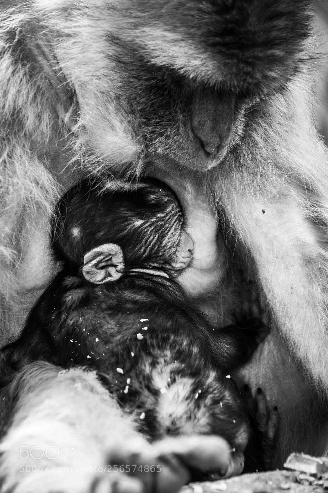 Nikon D90 sample photo. Magnetism photography