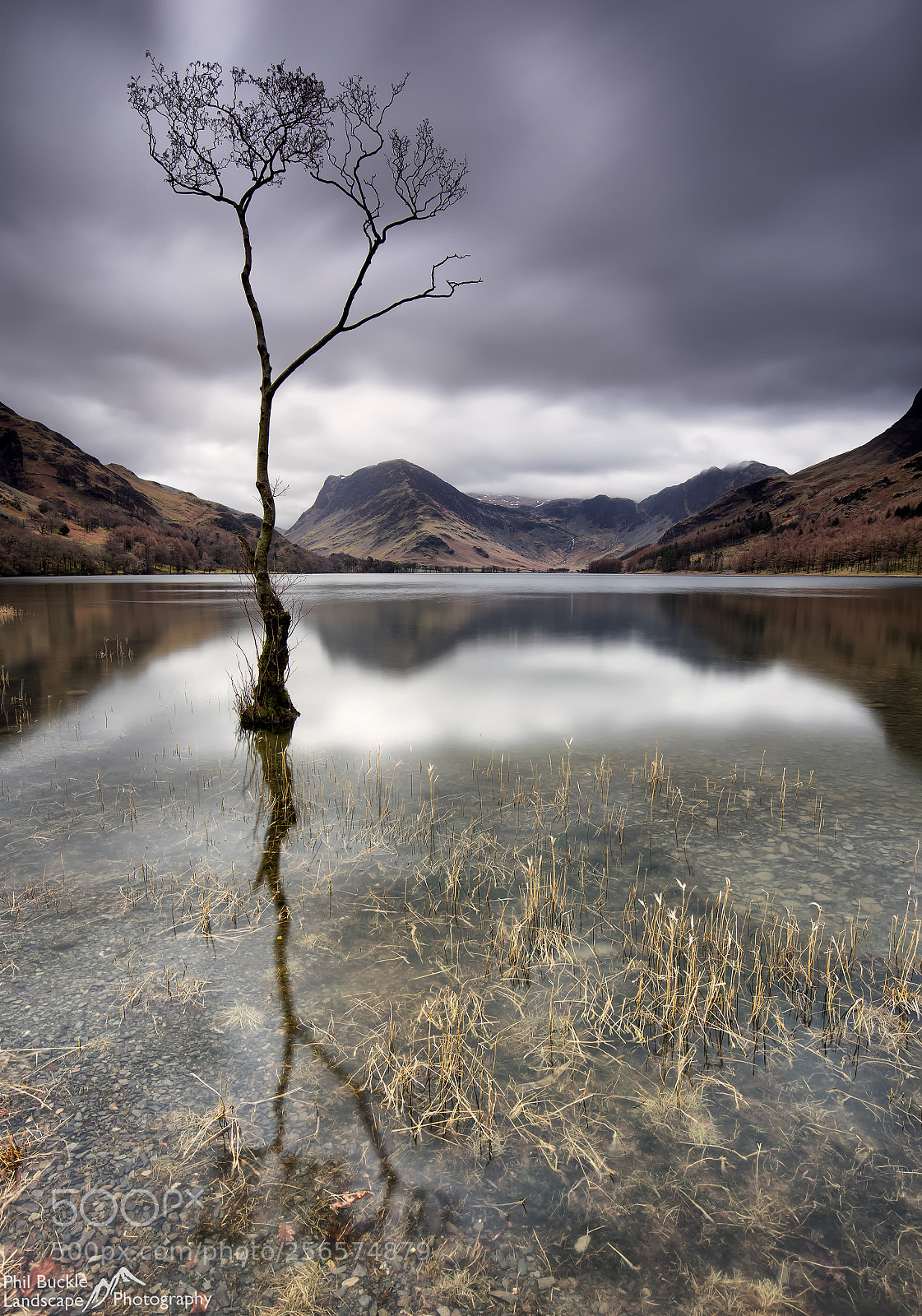 Canon EOS 6D sample photo. Buttermere lone tree evening photography