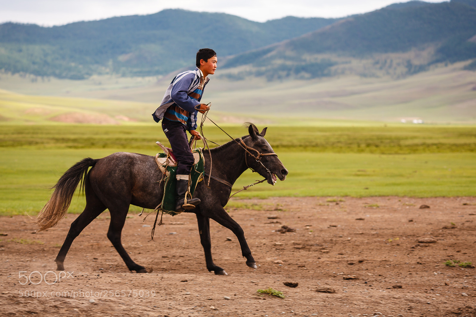 Canon EOS 5D Mark II sample photo. Mongolia – young herdsman photography