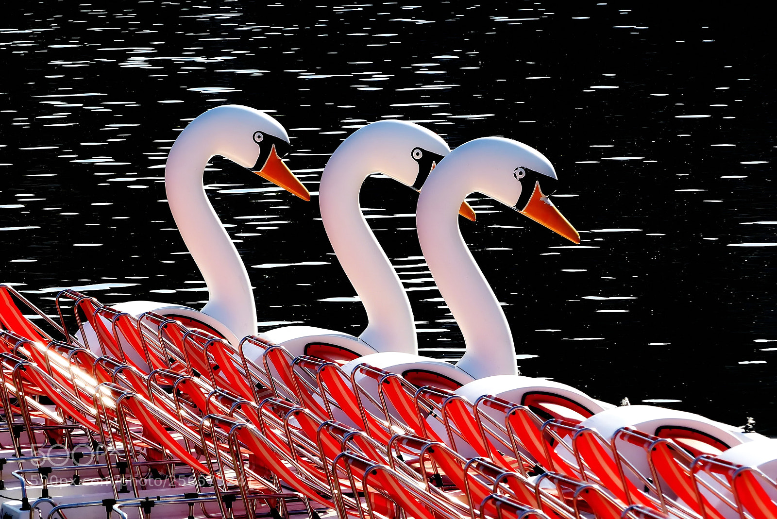 Panasonic Lumix DMC-FZ200 sample photo. Swan photography
