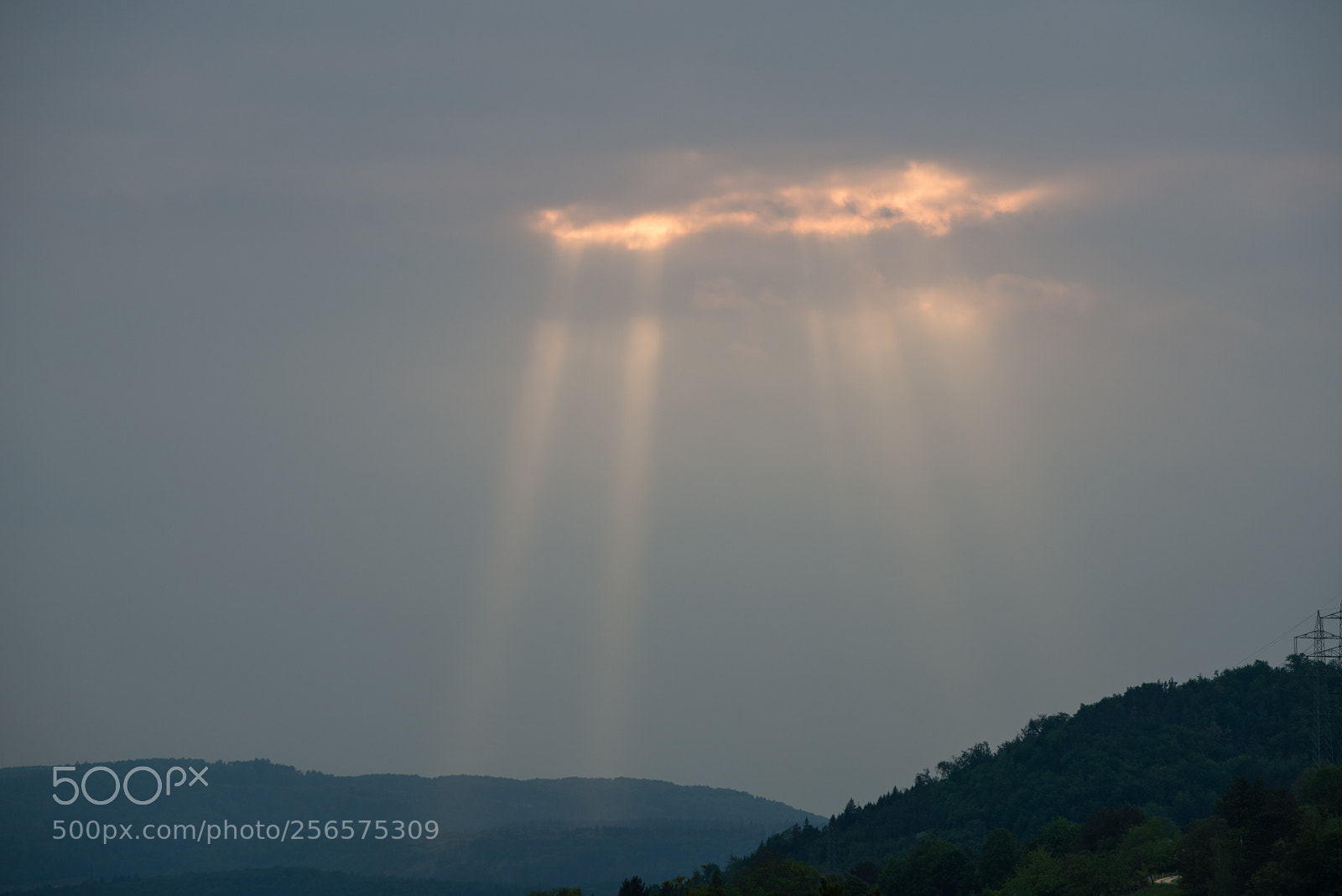 Nikon D800 sample photo. For a short moment photography