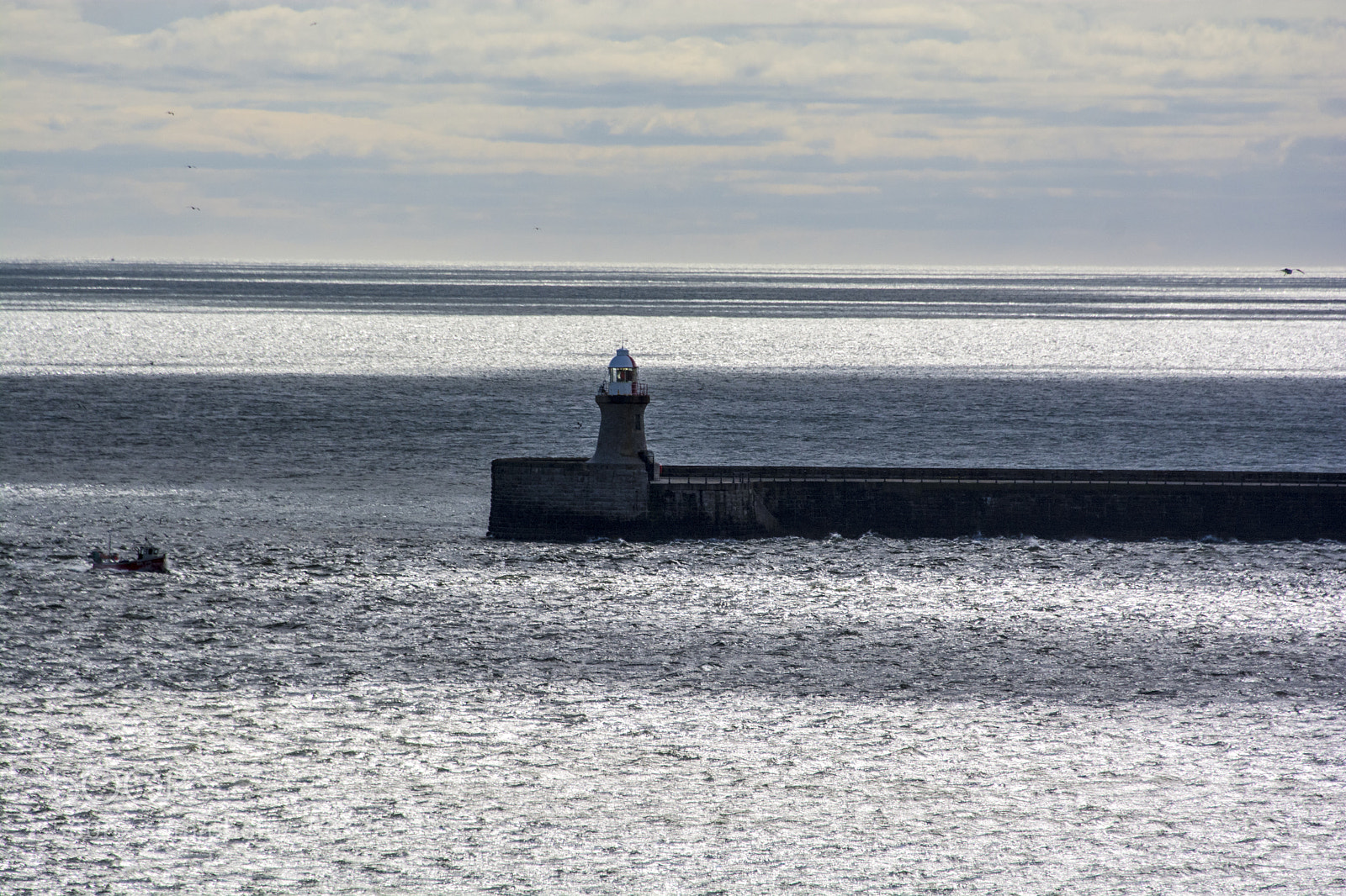 Nikon D7100 sample photo. Jpg photography