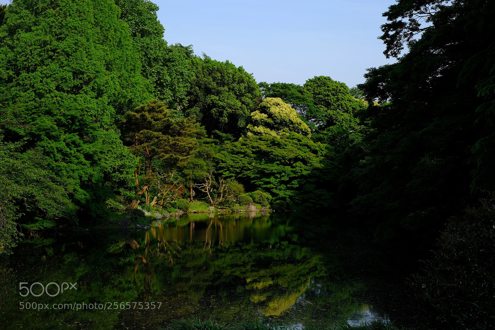 Fujifilm X-T2 sample photo. Shinjuku gyoen photography