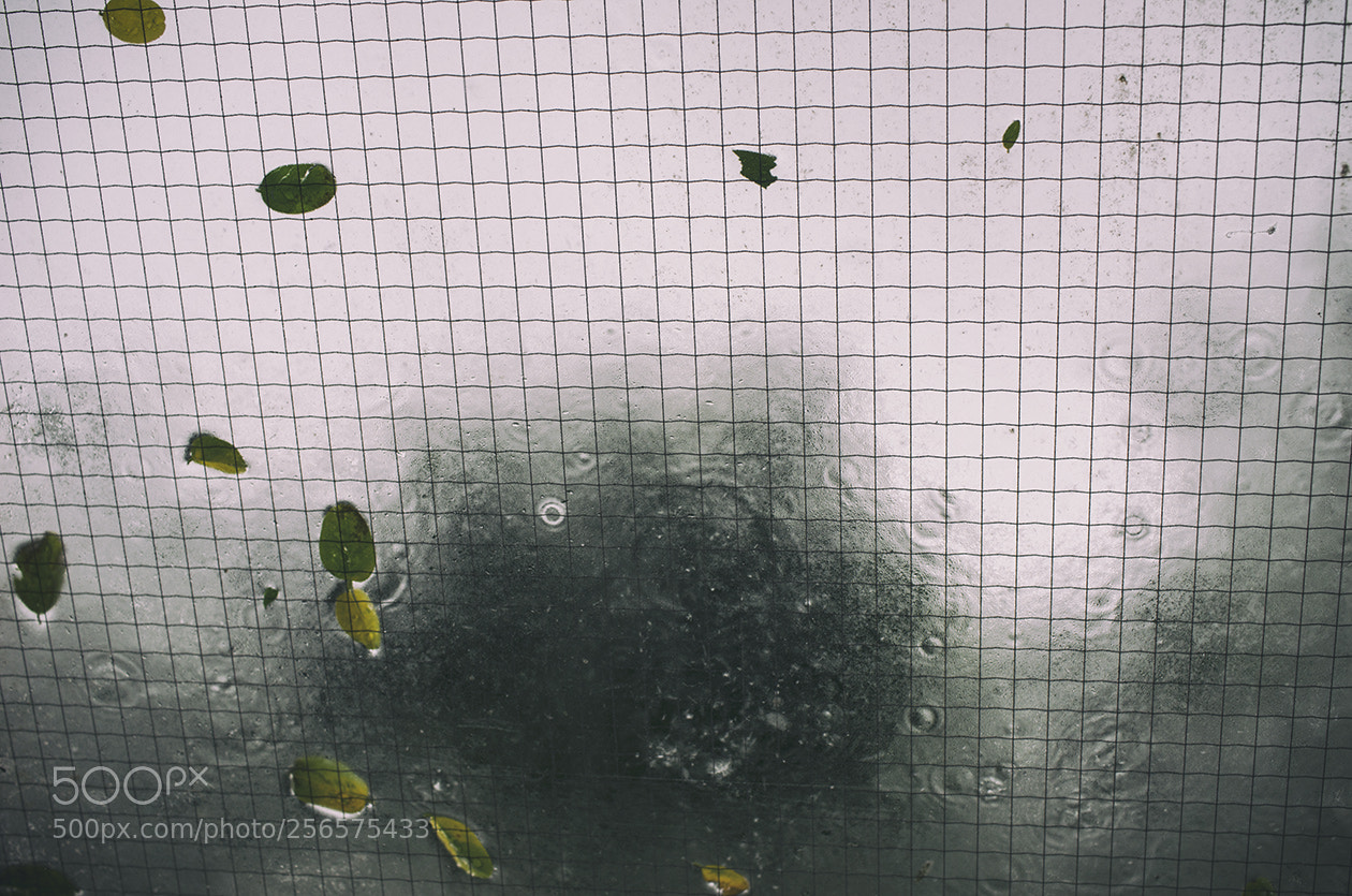 Pentax K-5 sample photo. Shapes of rain photography