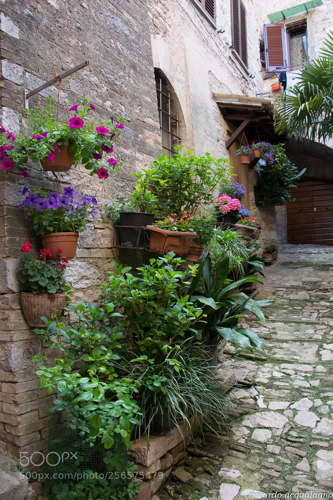 Nikon D5200 sample photo. Spello photography