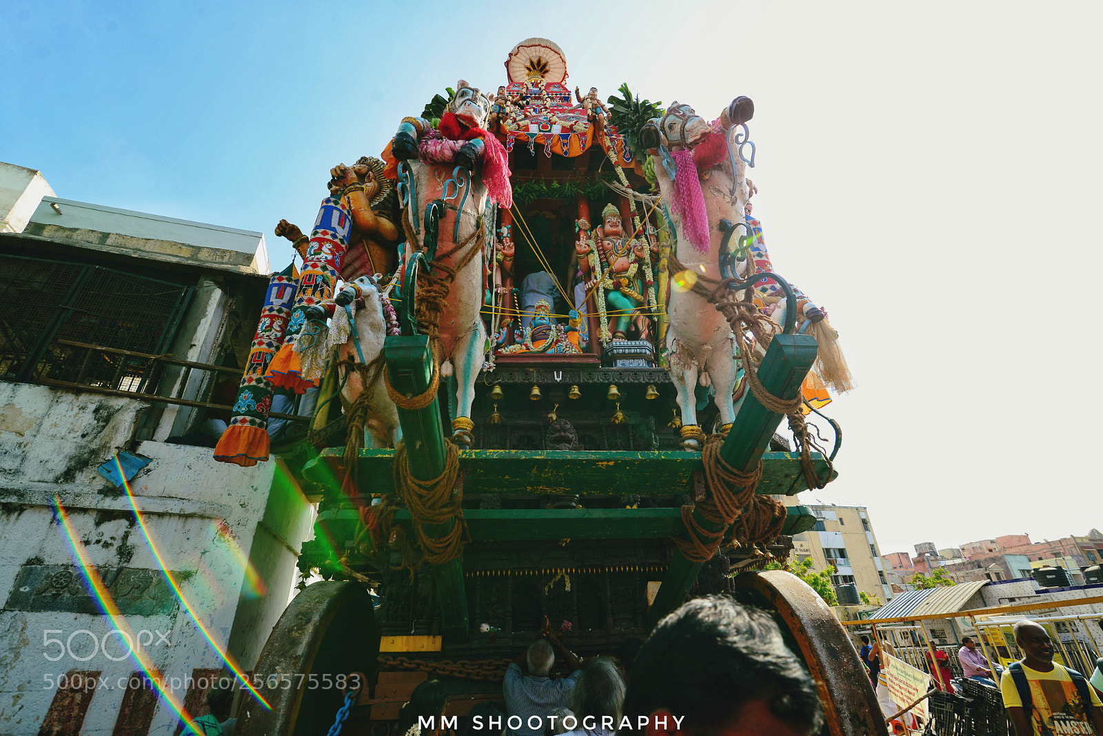 Nikon D610 sample photo. The monster photography