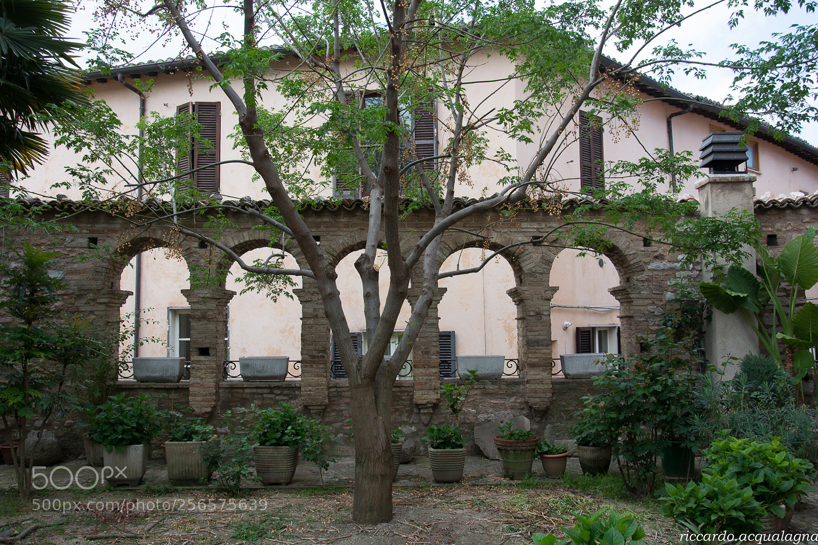 Nikon D5200 sample photo. Spello photography