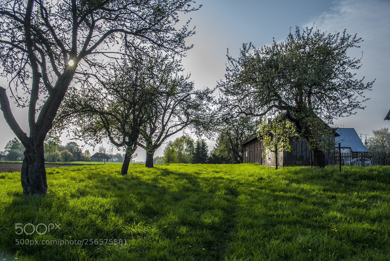 Nikon D3000 sample photo. Country photography