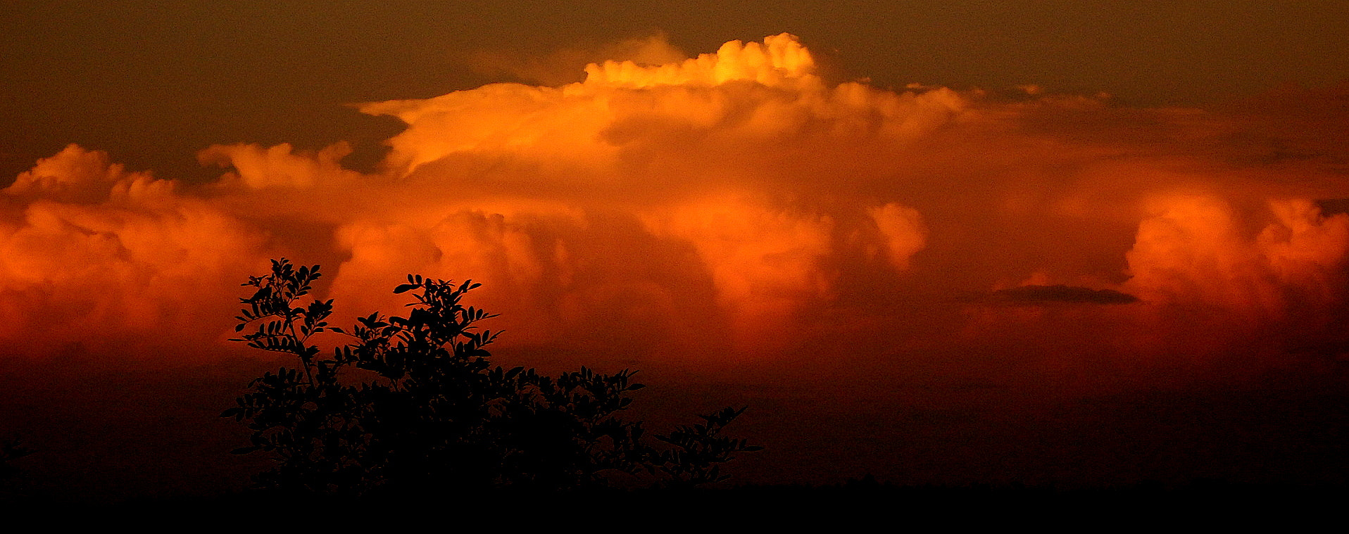 Fujifilm FinePix SL1000 sample photo. Sky .......hot photography