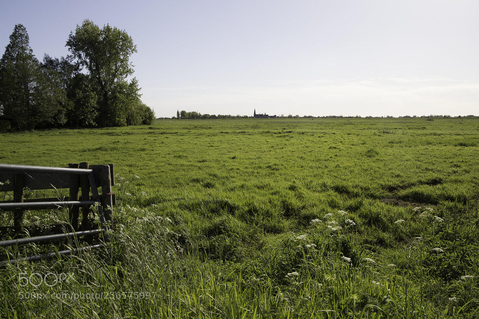 Canon EOS 6D sample photo. Dutch view photography