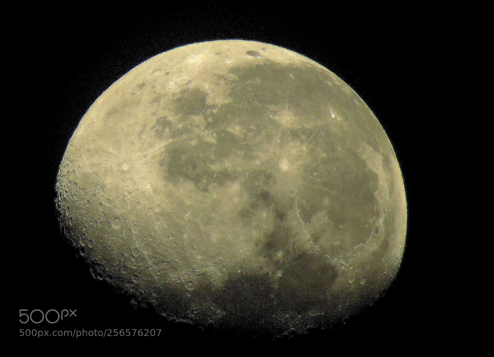 Canon PowerShot SX60 HS sample photo. Full moom....6:30 am photography