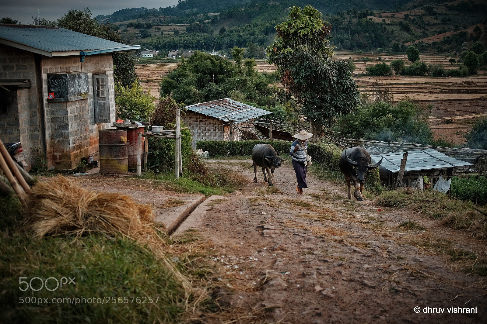 Fujifilm X-T1 sample photo. Take me home photography