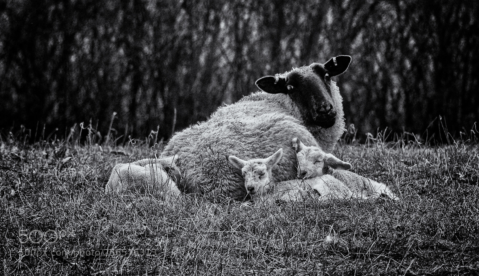 Nikon D3100 sample photo. Easter weekend walk photography