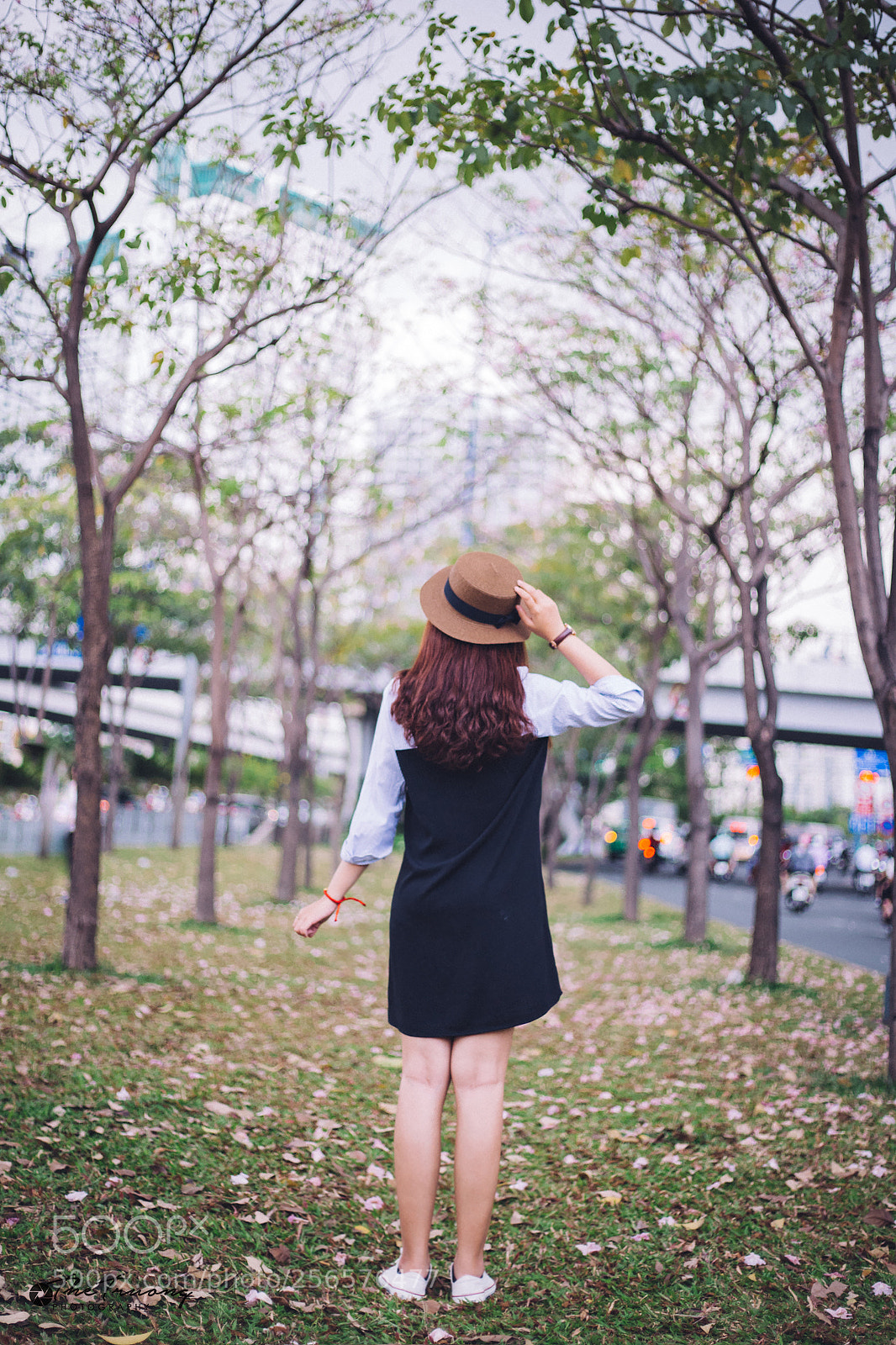Canon EOS 6D sample photo. 50f1.8 photography