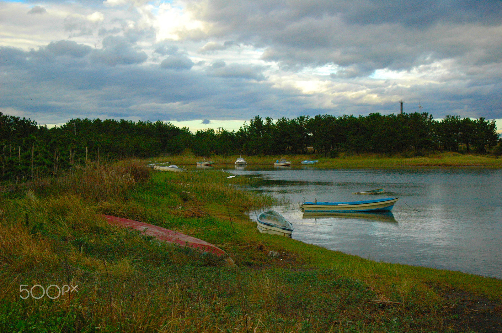 Nikon D70 sample photo. Abandoned photography