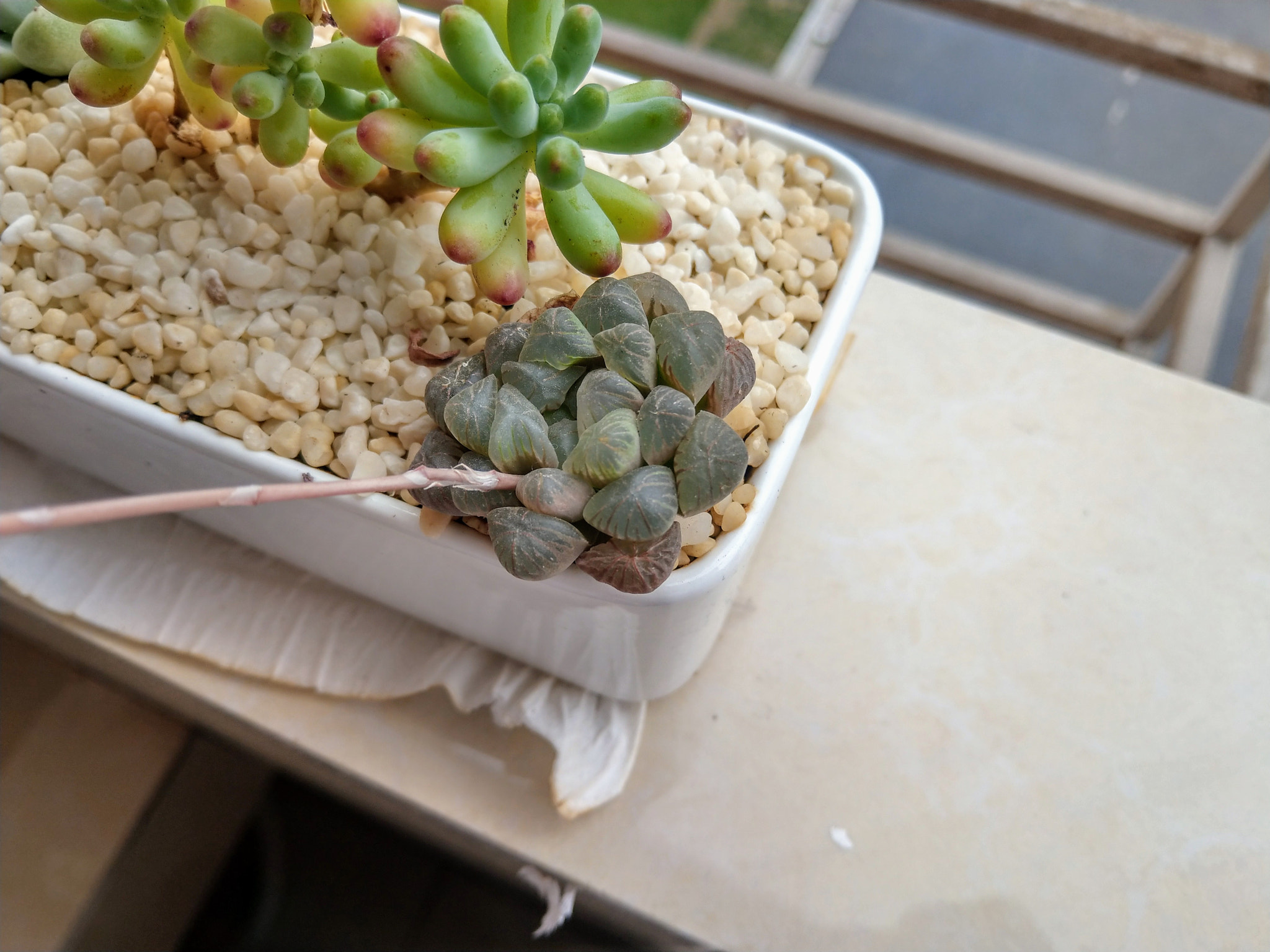 HTC U11 sample photo