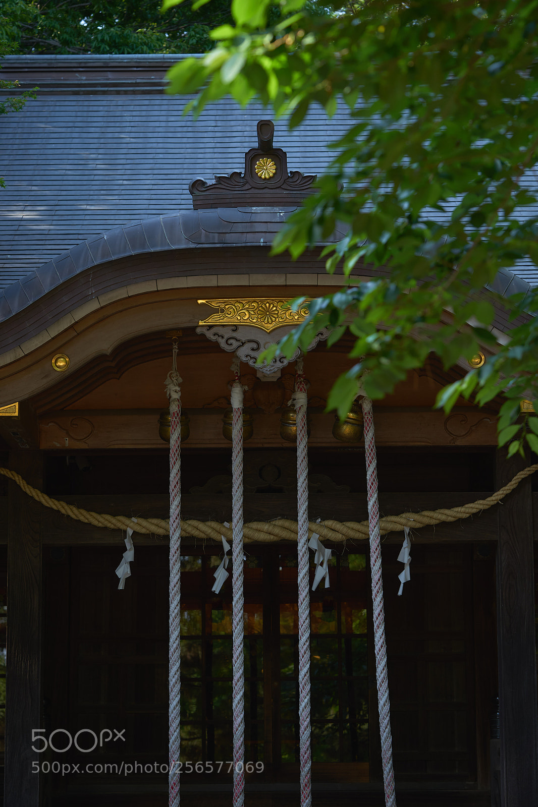 Sony a7 sample photo. Street 312 photography
