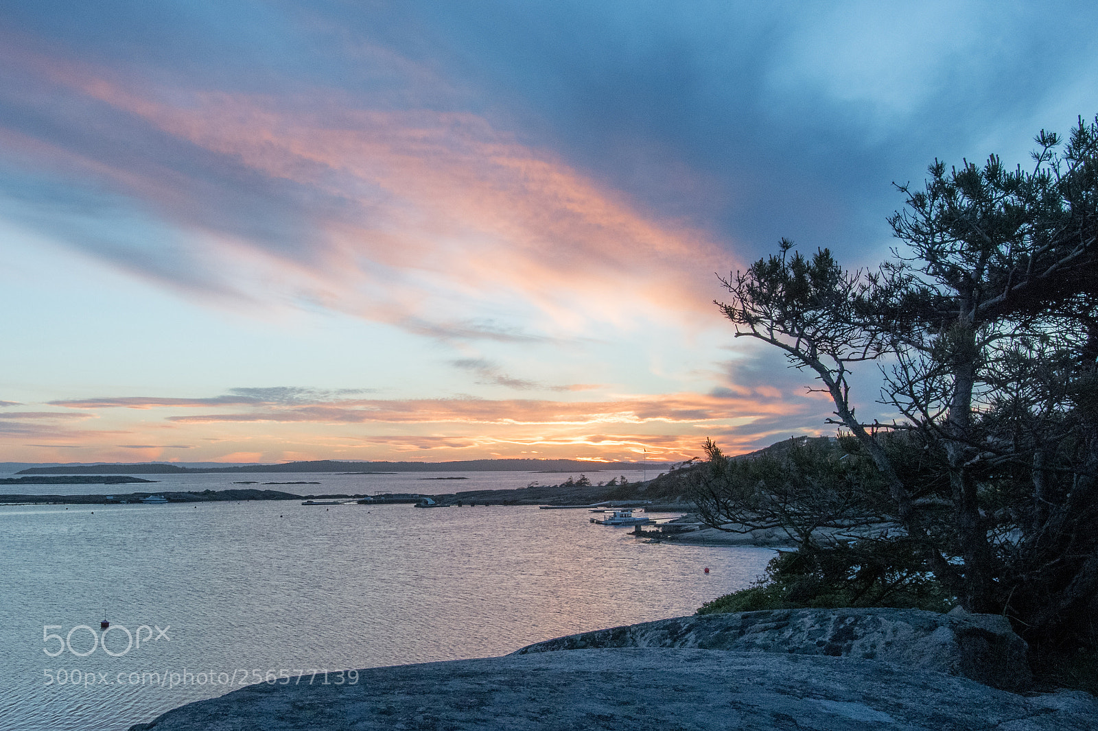 Nikon D500 sample photo. Blue sunset photography