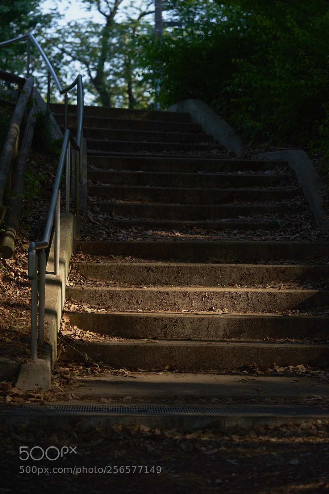 Sony a7 sample photo. Street 313 photography