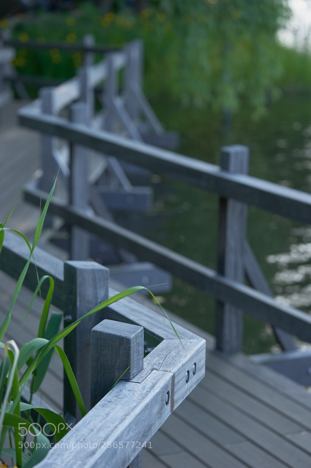 Sony a7 sample photo. Street 314 photography