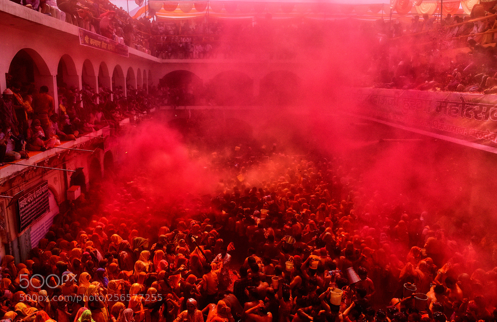 Nikon D750 sample photo. Dsc photography