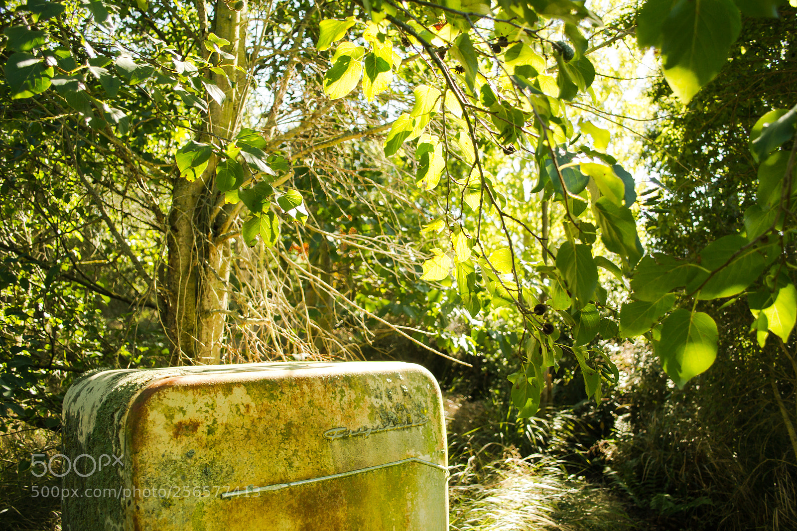 Nikon D3100 sample photo. Fairlie - new zealand photography