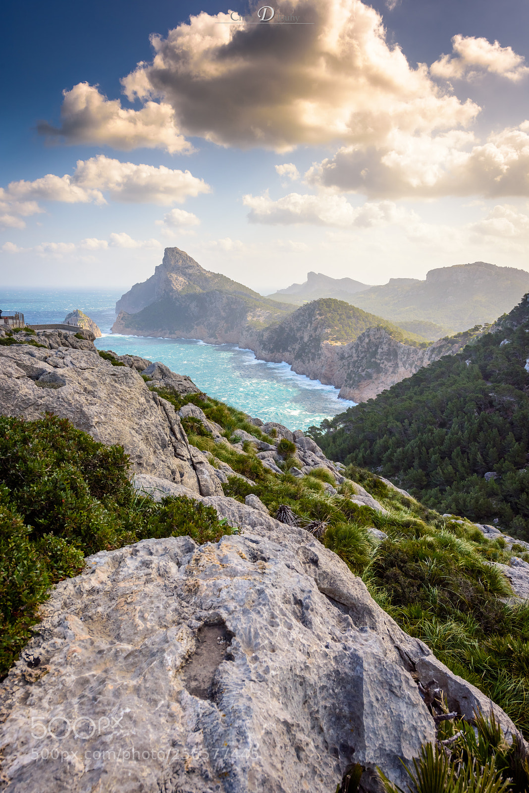 Nikon D810 sample photo. View to cap de photography
