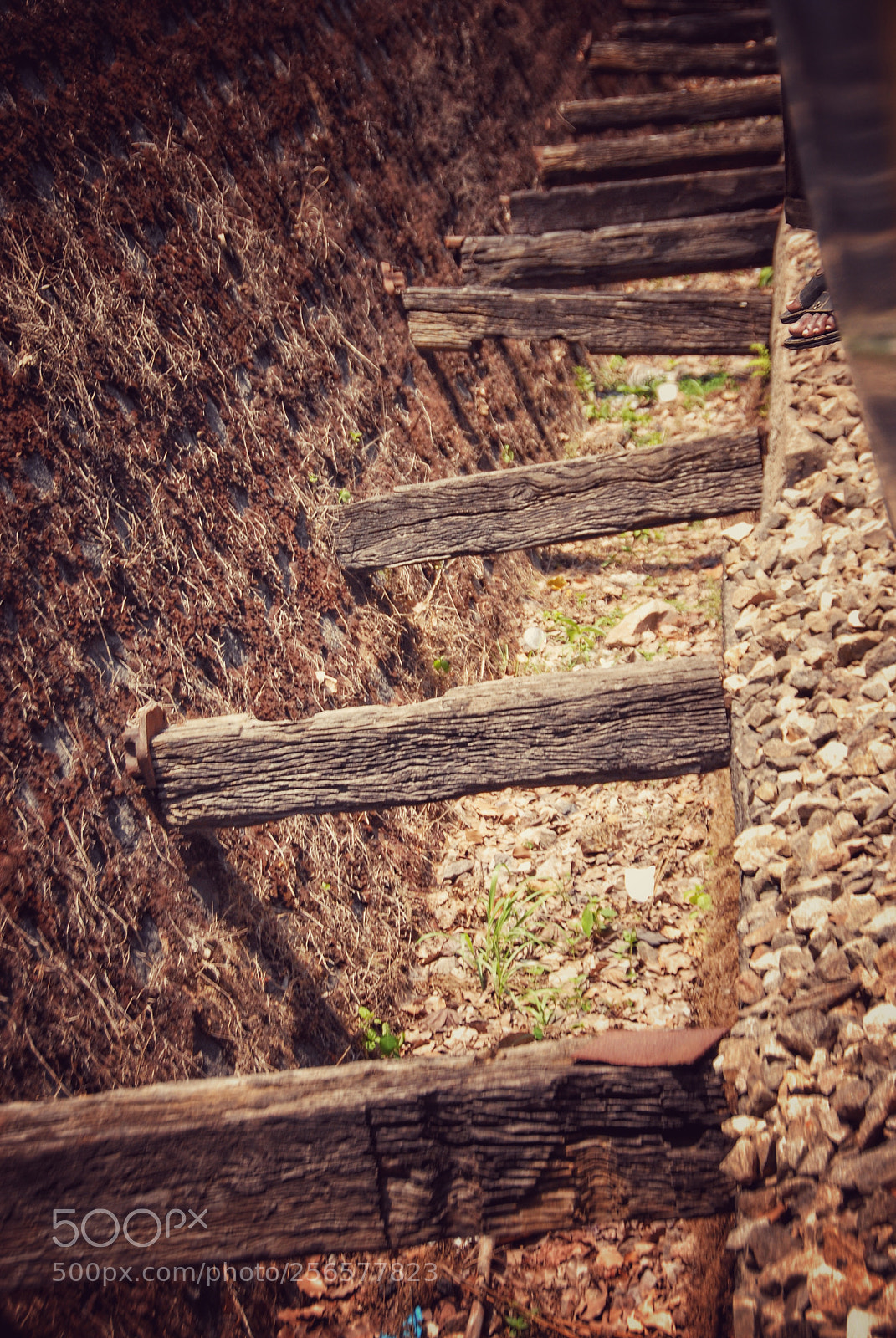 Nikon D200 sample photo. Untitled photography