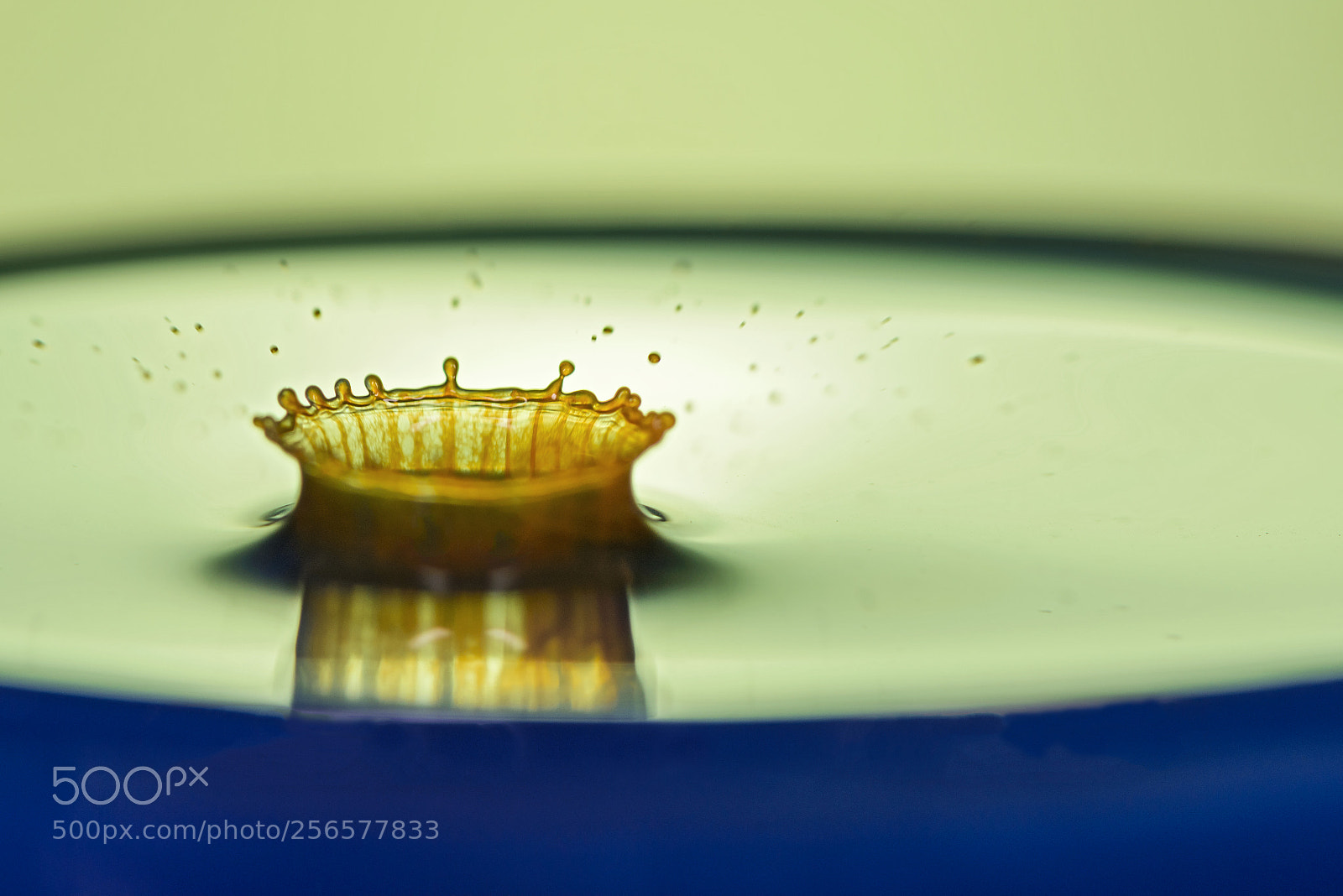 Nikon D810 sample photo. Orange water drop. photography