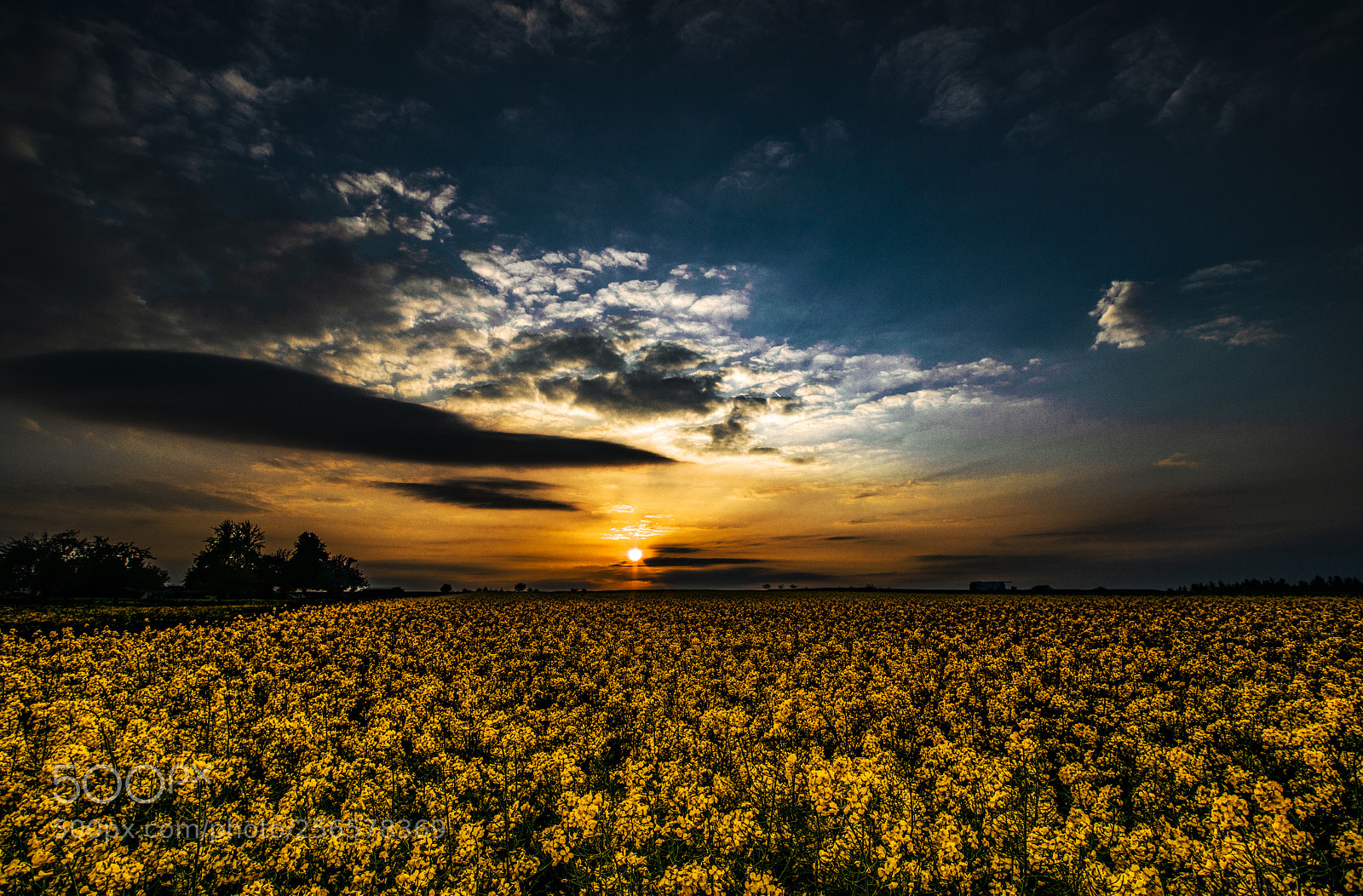 Nikon D800 sample photo. Sunset at the field photography