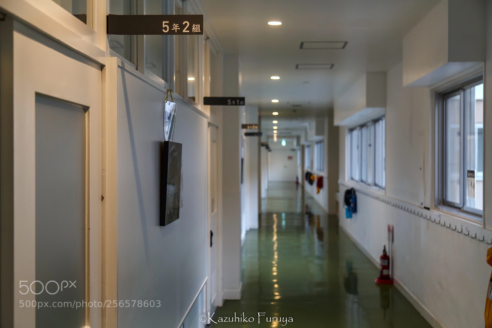 Canon EOS 6D sample photo. 2 sets for 5 years photography