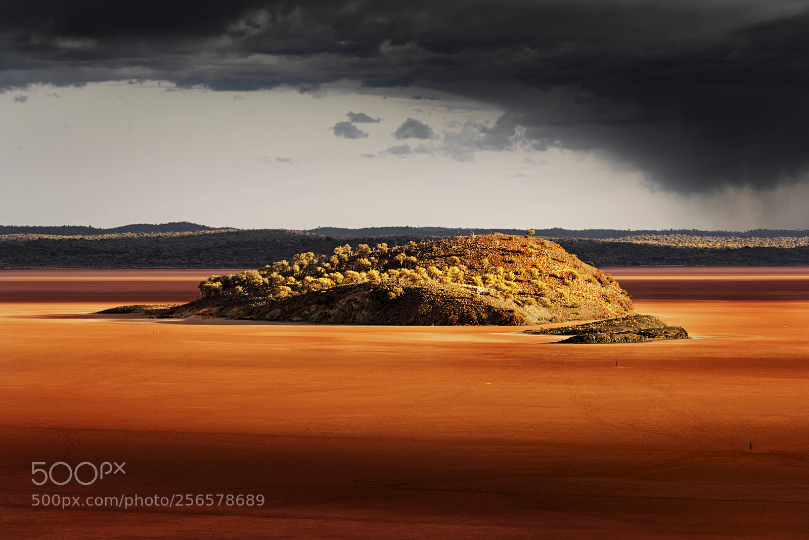 Nikon D810 sample photo. Lake ballard photography