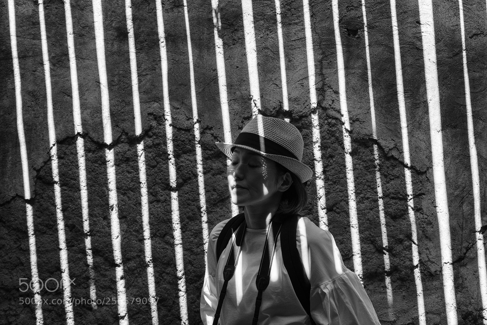 Nikon D750 sample photo. Stripe photography
